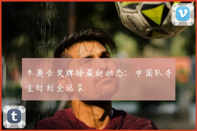 冬奥会奖牌榜最新动态：中国队夺金时刻全记录