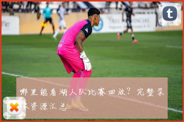 哪里能看湖人队比赛回放？完整录像资源汇总