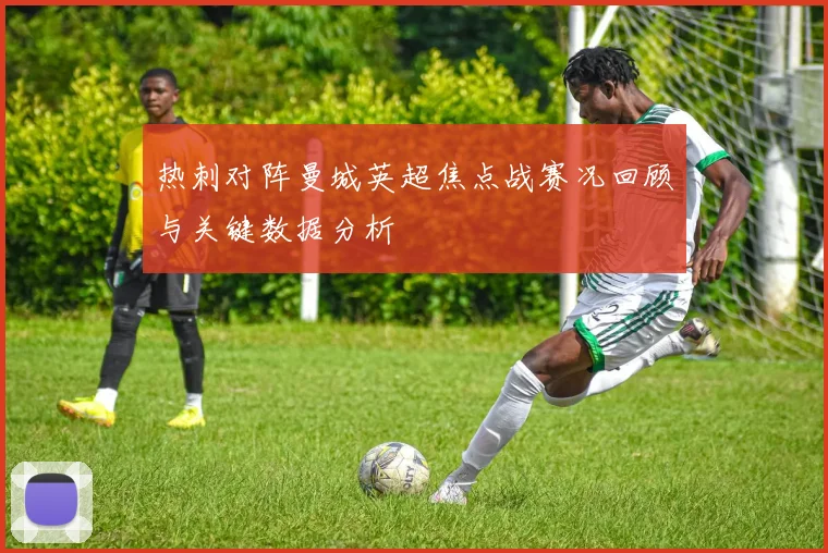 热刺对阵曼城英超焦点战赛况回顾与关键数据分析