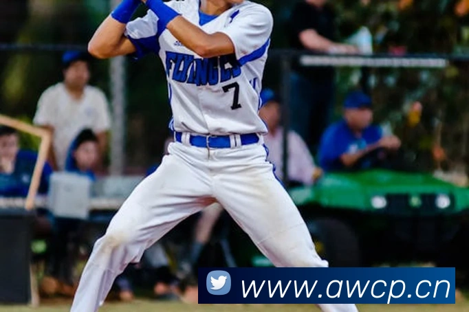 c7官网入口平台生态图